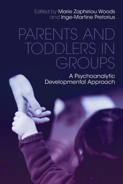 Parents and Toddlers in Groups : A Psychoanalytic Developmental Approach, Paperback / softback Book
