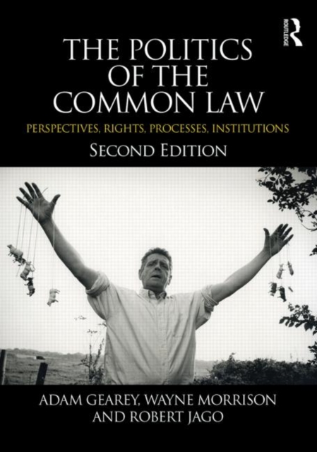 The Politics of the Common Law : Perspectives, Rights, Processes, Institutions, Paperback / softback Book