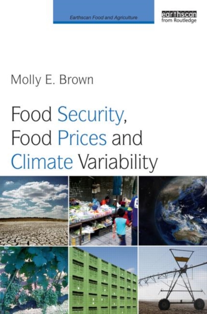 Food Security, Food Prices and Climate Variability, Paperback / softback Book