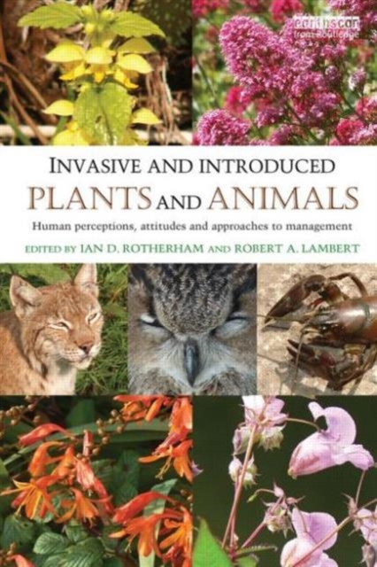 Invasive and Introduced Plants and Animals : Human Perceptions, Attitudes and Approaches to Management, Paperback / softback Book