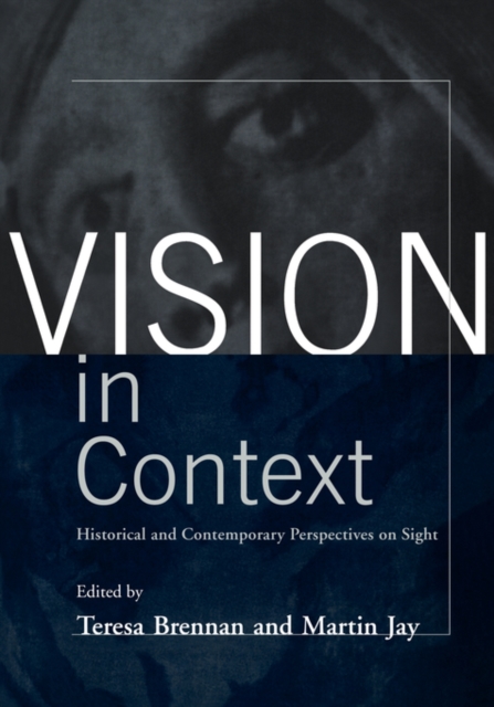 Vision in Context : Historical and Contemporary Perspectives on Sight, Paperback / softback Book