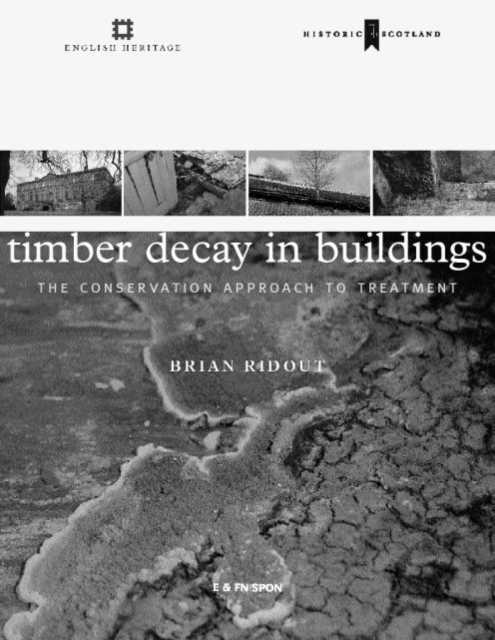 Timber Decay in Buildings : The Conservation Approach to Treatment, Hardback Book