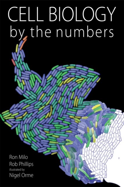 Cell Biology by the Numbers, EPUB eBook