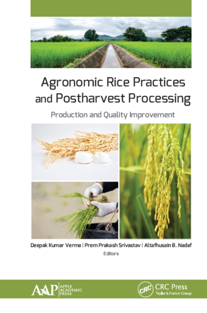 Agronomic Rice Practices and Postharvest Processing : Production and Quality Improvement, PDF eBook