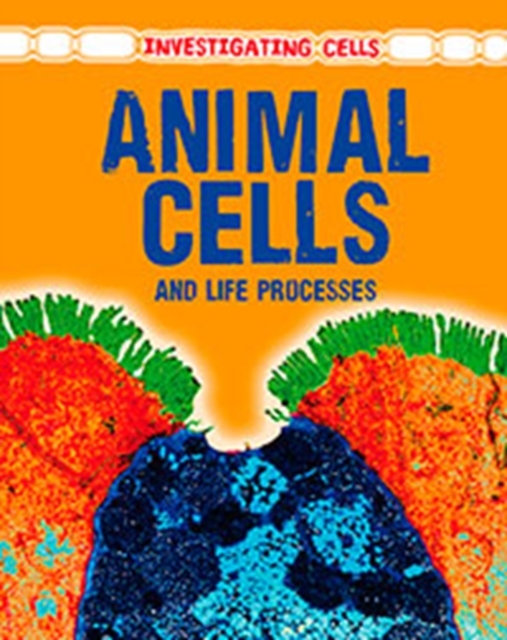 Animal Cells and Life Processes, Paperback Book