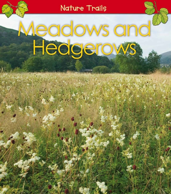 Meadows & Hedgerows, Hardback Book