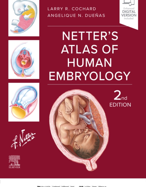 Netter's Atlas of Human Embryology : Netter's Atlas of Human Embryology - E-BOOK, EPUB eBook