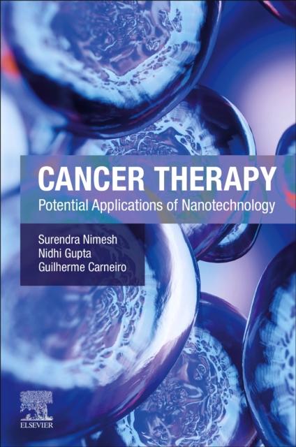 Cancer Therapy : Potential Applications of Nanotechnology, Paperback / softback Book