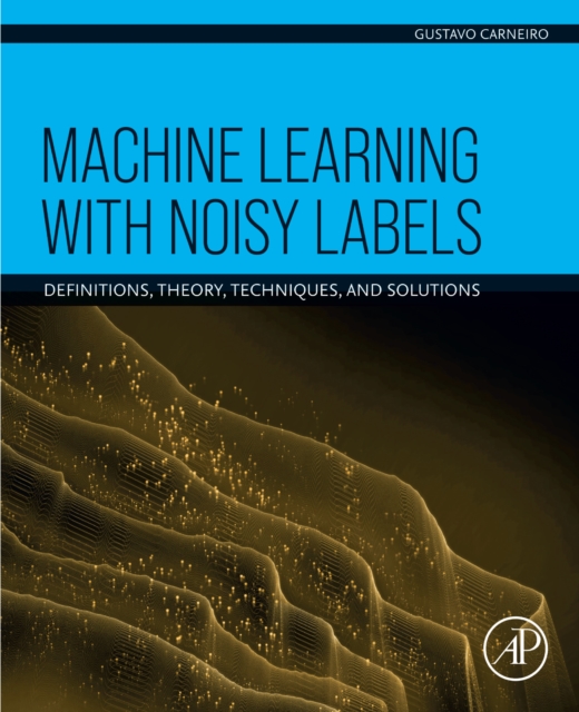 Machine Learning with Noisy Labels : Definitions, Theory, Techniques and Solutions, EPUB eBook