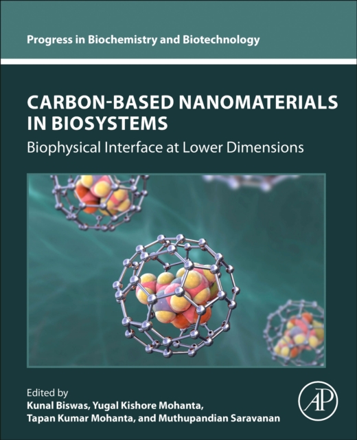 Carbon-Based Nanomaterials in Biosystems : Biophysical Interface at Lower Dimensions, Paperback / softback Book