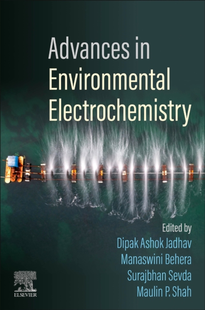 Advances in Environmental Electrochemistry, Paperback / softback Book