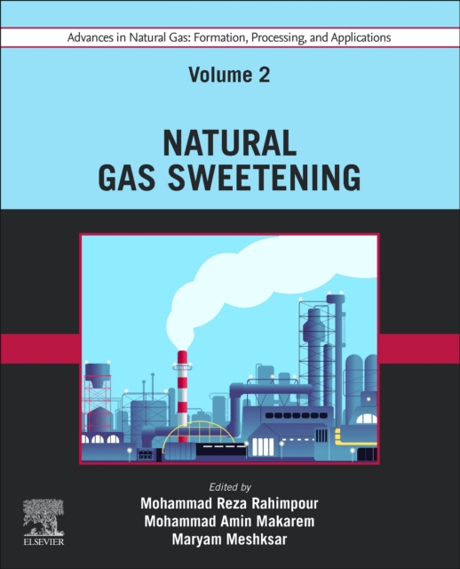 Advances in Natural Gas: Formation, Processing, and Applications. Volume 2: Natural Gas Sweetening, Paperback / softback Book