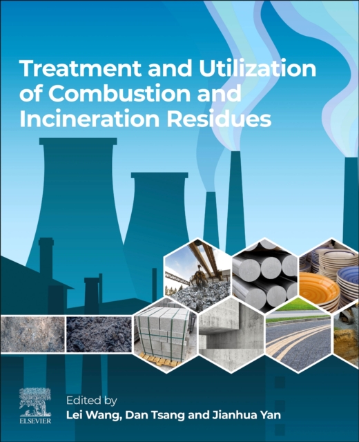 Treatment and Utilization of Combustion and Incineration Residues, Paperback / softback Book