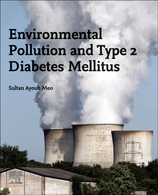Environmental Pollution and Type 2 Diabetes Mellitus, Paperback / softback Book