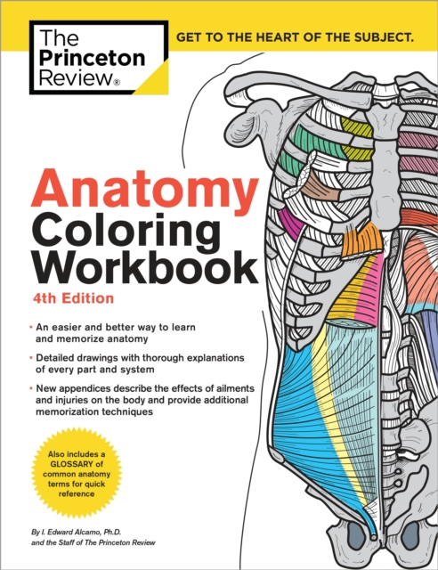 Anatomy Coloring Workbook, 4th Edition : An Easier and Better Way to Learn Anatomy, Paperback / softback Book