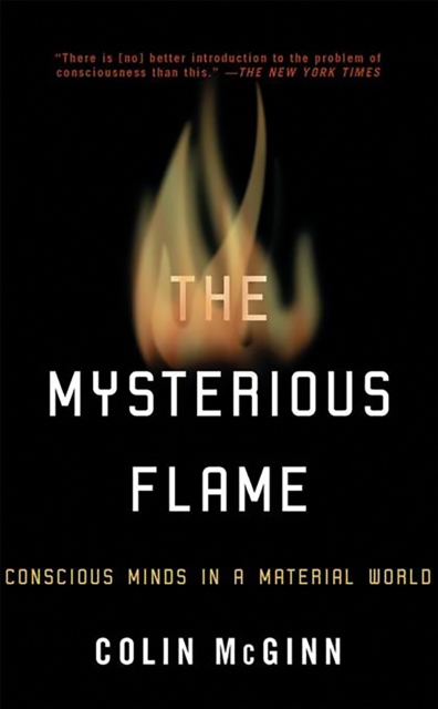 The Mysterious Flame : Conscious Minds in a Material World, Paperback / softback Book