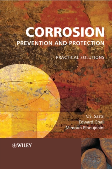 Corrosion Prevention and Protection : Practical Solutions, PDF eBook