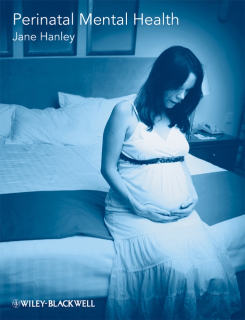 Perinatal Mental Health : A Guide for Health Professionals and Users, Paperback / softback Book