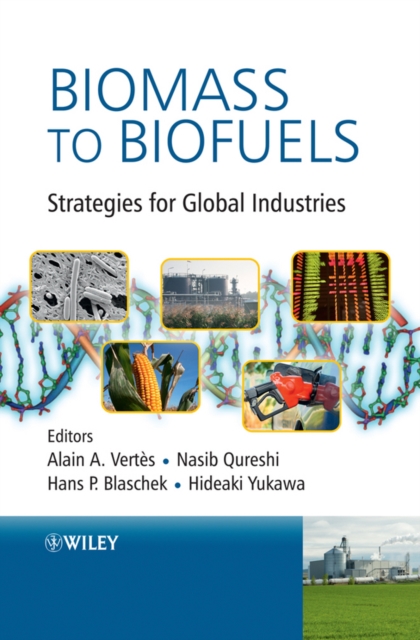 Biomass to Biofuels : Strategies for Global Industries, Hardback Book