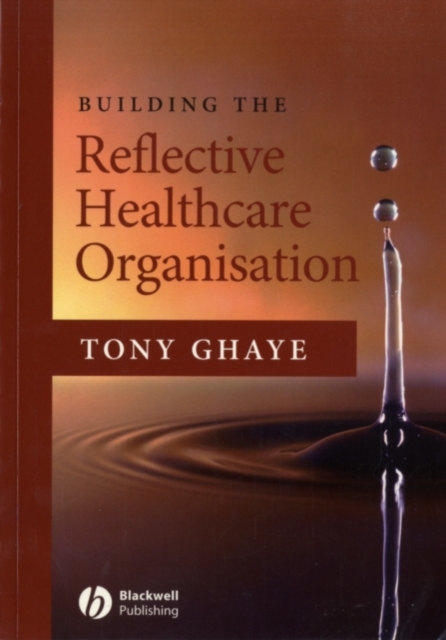 Building the Reflective Healthcare Organisation, PDF eBook