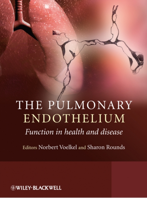 The Pulmonary Endothelium : Function in Health and Disease, Hardback Book