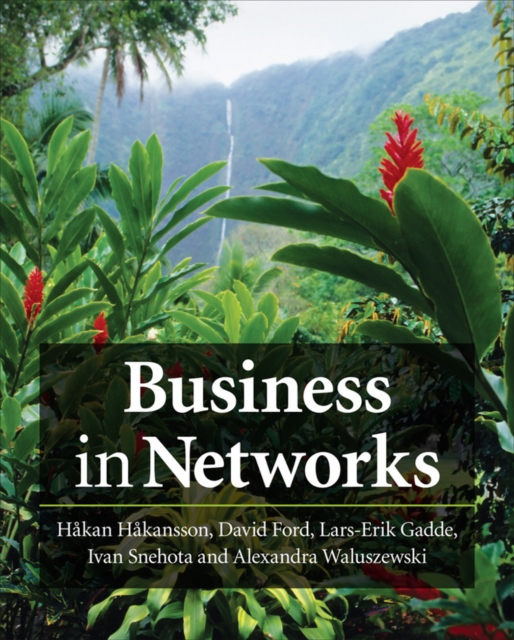 Business in Networks, Paperback / softback Book