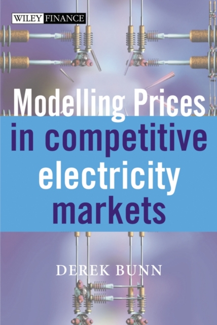 Modelling Prices in Competitive Electricity Markets, Hardback Book