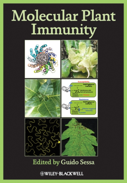 Molecular Plant Immunity, Hardback Book