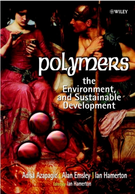 Polymers : The Environment and Sustainable Development, Paperback / softback Book