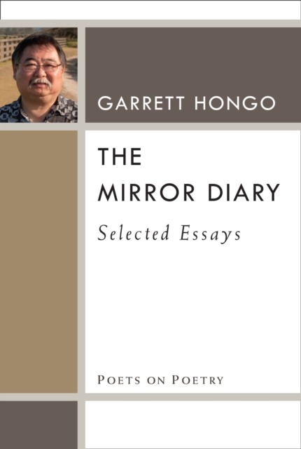 The Mirror Diary : Selected Essays, Paperback / softback Book