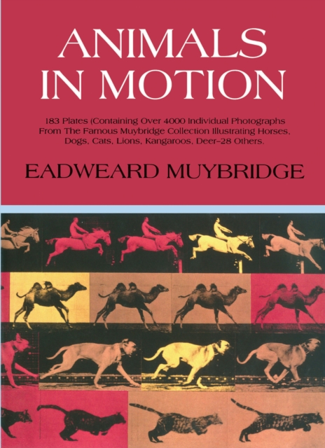 Animals in Motion, EPUB eBook