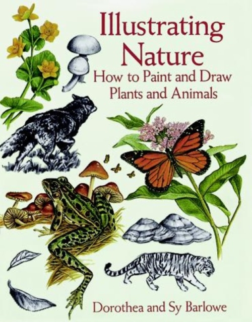 Illustrating Nature, Paperback / softback Book