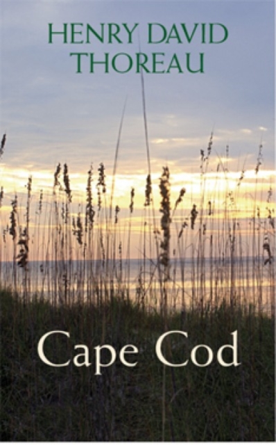 Cape COD, Paperback / softback Book