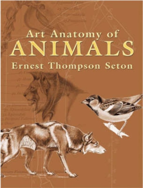 Art Anatomy of Animals, Paperback / softback Book