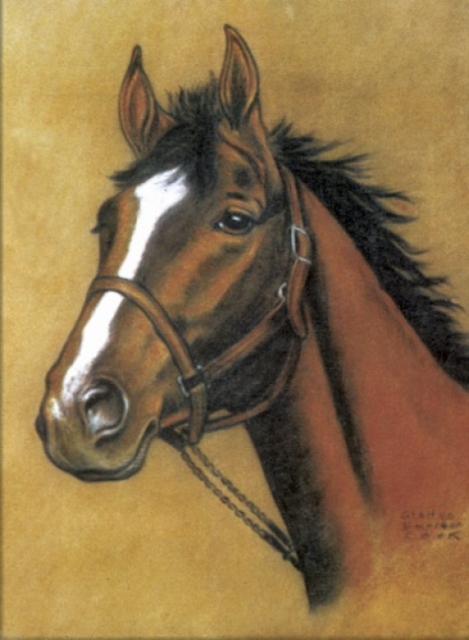 Horse Notebook, Other merchandise Book