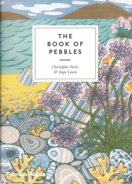 The Book of Pebbles : From Prehistory to the Pet Shop Boys, Paperback / softback Book