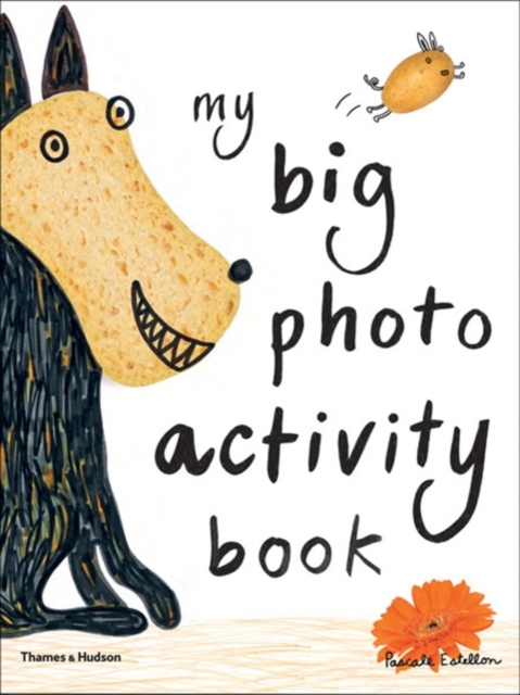 My Big Photo Activity Book, Paperback / softback Book