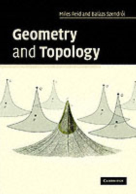 Geometry and Topology, PDF eBook