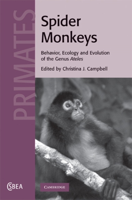 Spider Monkeys : Behavior, Ecology and Evolution of the Genus Ateles, PDF eBook
