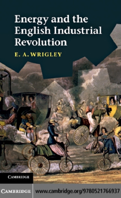Energy and the English Industrial Revolution, PDF eBook