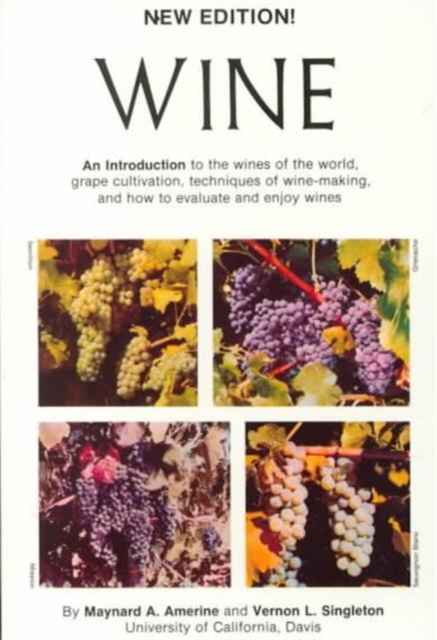 Wine : An Introduction, Paperback / softback Book