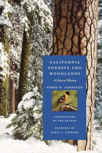 California Forests and Woodlands : A Natural History, Paperback / softback Book
