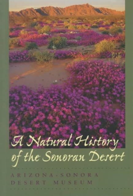 A Natural History of the Sonoran Desert : Revised and Updated Edition, Paperback Book
