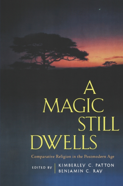 A Magic Still Dwells : Comparative Religion in the Postmodern Age, Paperback / softback Book