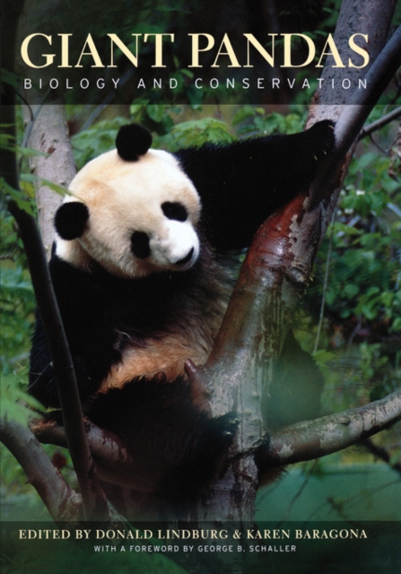 Giant Pandas : Biology and Conservation, Hardback Book