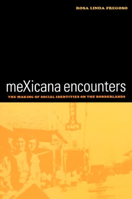 meXicana Encounters : The Making of Social Identities on the Borderlands, Paperback / softback Book
