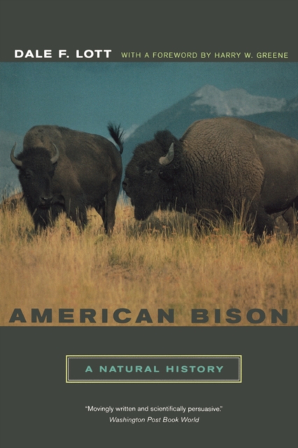 American Bison : A Natural History, Paperback / softback Book