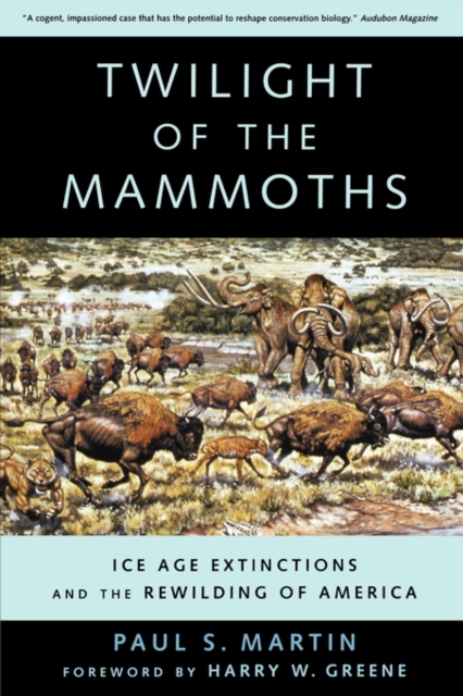 Twilight of the Mammoths : Ice Age Extinctions and the Rewilding of America, Paperback / softback Book