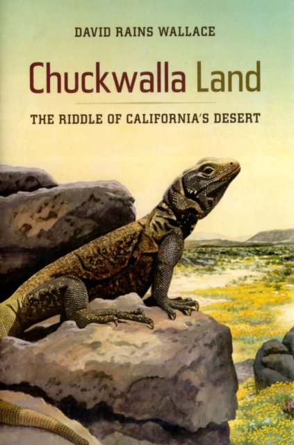 Chuckwalla Land : The Riddle of California's Desert, Hardback Book