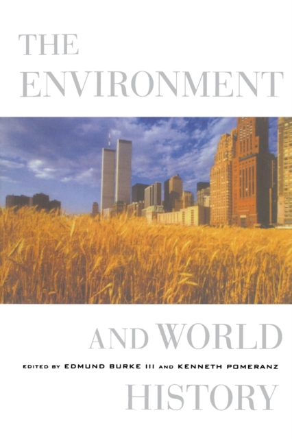 The Environment and World History, Paperback / softback Book